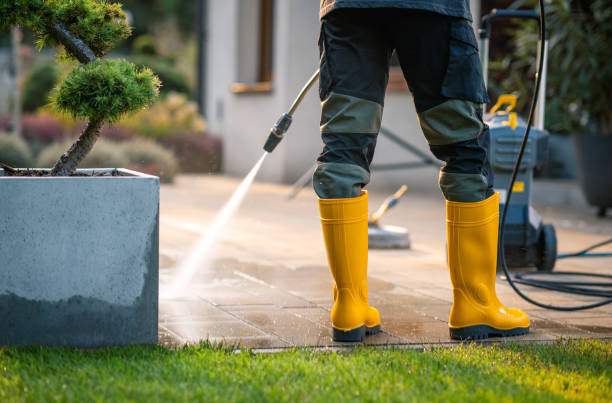 Best Roof Power Washing Services  in Meridian Village, CO